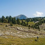 Hiking, yoga and reconnecting with nature (Vercors)