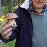 Discovering mushrooms in the Vercors
