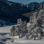 Snowshoeing stay "Winter pleasures" in the Vercors