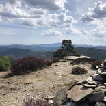 Reconnecting to life on the Stevenson path