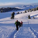 Snowshoeing mini stay in the Southern Alps (Gap)