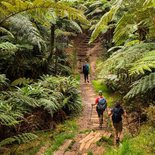 Hiking in the Belouve forest and at "Trou de Fer"