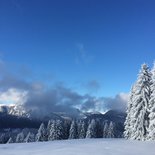 Snowshoe & yoga morning in the Aravis (Haute-Savoie)