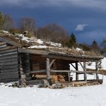 Snowshoeing and trapper weekend (Ariège)