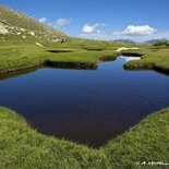 Randonnée aux Pozzi (Corse-du-Sud)