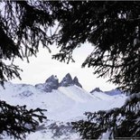 Trapper's hike in the Maurienne forest (Savoie)