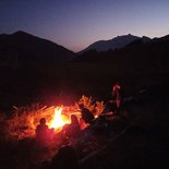 Bivouac adulte sur les traces du loup (Hautes-Alpes)