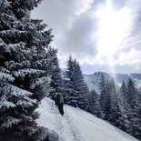 Snowshoeing on the high plateaus of the Vercors (Drôme)