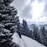 Raquettes sur les hauts plateaux du Vercors (Drôme)