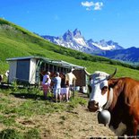 Gourmet and heritage walk in the mountain pasture (Maurienne)