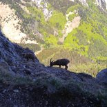 Ascension du Mont Aiguille (Vercors, Isère)