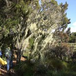 Ascent of Kilimanjaro by the Marangu route