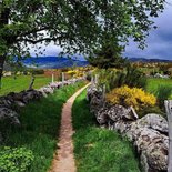 Le tour du Mont Lozère