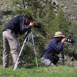 Photo hike in Grand Paradiso National Park