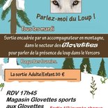 Night snowshoeing: tell me about the wolf (Vercors)