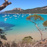 Les îles d'Or et la côte varoise en randonnée