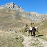 La Routo®: trekking with donkeys in Ubaye