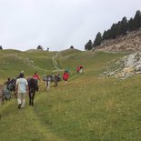 Transhumance's festival in the South Vercors
