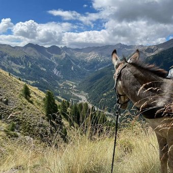 trek-annes-ubaye-3.jpg