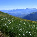 Ascension du Mont Aiguille (Vercors)