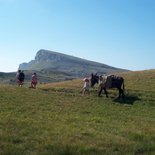 Itinerant family hike with donkeys (Vercors)