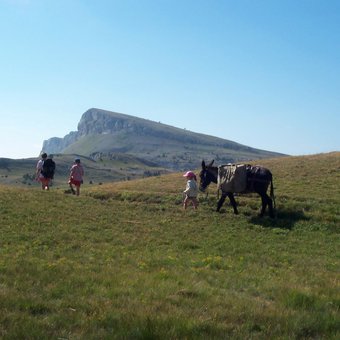 randonnee-anes-vercors-1.jpg