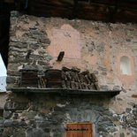 "Mountain environment knowledge" intership (Savoie)