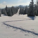 Raid raquettes dans les grand espaces du Jura Suisse