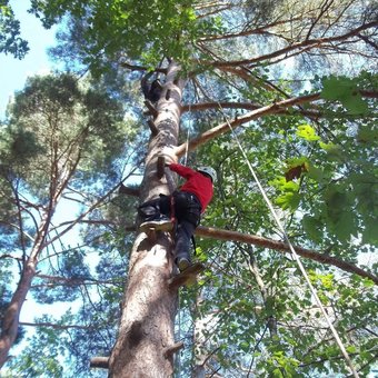 escaladarbre-puycelsi-1.jpg
