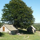 Hiking and disconnection in the land of Aubrac