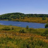 Séjour Retrouvance®: plateau de Millevaches (Corrèze)