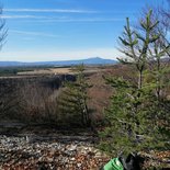 Local walk: goat's cheese (North Luberon)