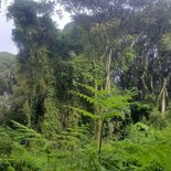 Kilimanjaro ascent via the Machame route