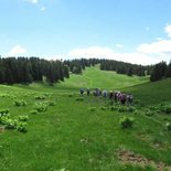 Trek dans les grand espaces du Jura Suisse