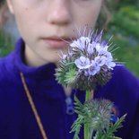 Découverte des plantes de montagne (Savoie)