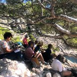 Hiking and watercolor painting in the Calanques