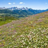 Hiking and well-being stay in the southern Vercors