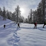 Snowshoeing mini stay in the Southern Alps (Gap)