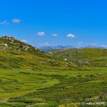 Hiking on the Coscione plateau (Southern Corsica)