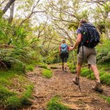 Le trek du cœur de l’île de la Réunion