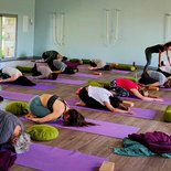 Randonnée et yoga entre Provence et Vercors (Drôme)