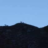 Premier bivouac sauvage dans le Beaufortain (Savoie)