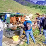 Balade gourmande dans les alpages d'Albiez en Maurienne