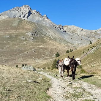 trek-annes-ubaye-1.jpg