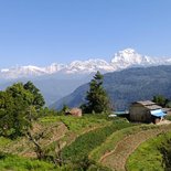 Mohare Danda trekking