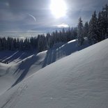 Matinée raquettes dans la forêt des Saisies (Savoie)