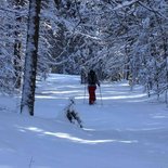 Snowshoeing, Nature & Connection to Life in Jura