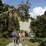 Hiking and well-being cocktail in the Vercors (Drôme)