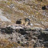 Tour of the Mont-Cenis lake (Maurienne, Savoie)