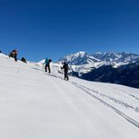 ANENA training : understand snowshoeing tracks (Savoie)